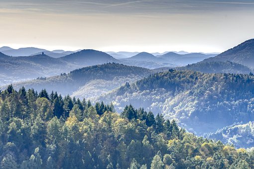 Pf&auml;lzerwald